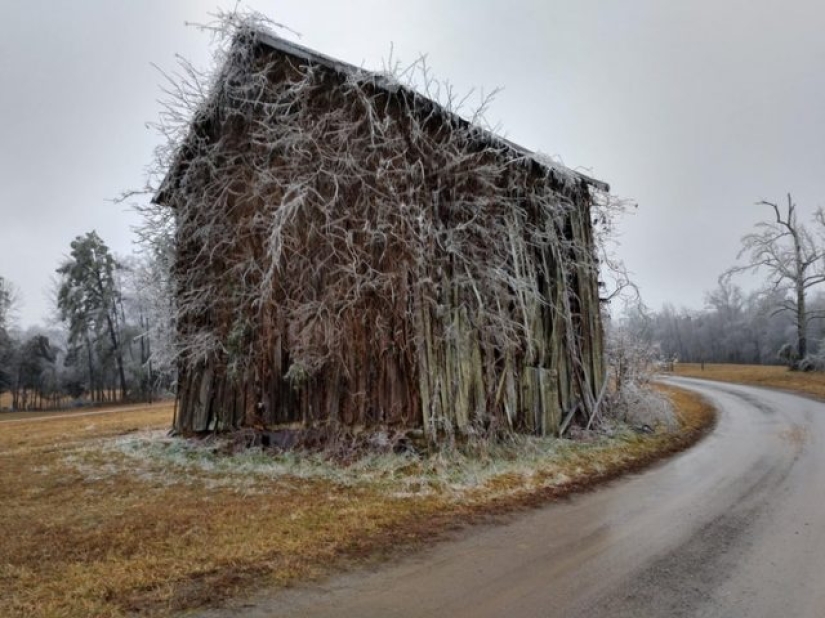 16 cosas comunes que nunca habíamos visto antes