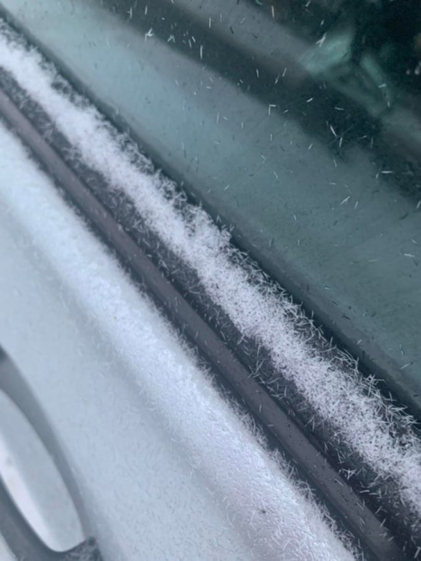 16 cosas comunes que nunca habíamos visto antes