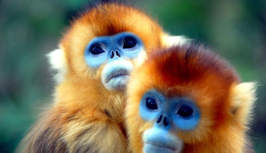 16 criaturas como de otro planeta