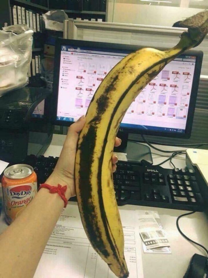 16 examples of people having the best day of their lives 16 examples of people having the best day of their lives
