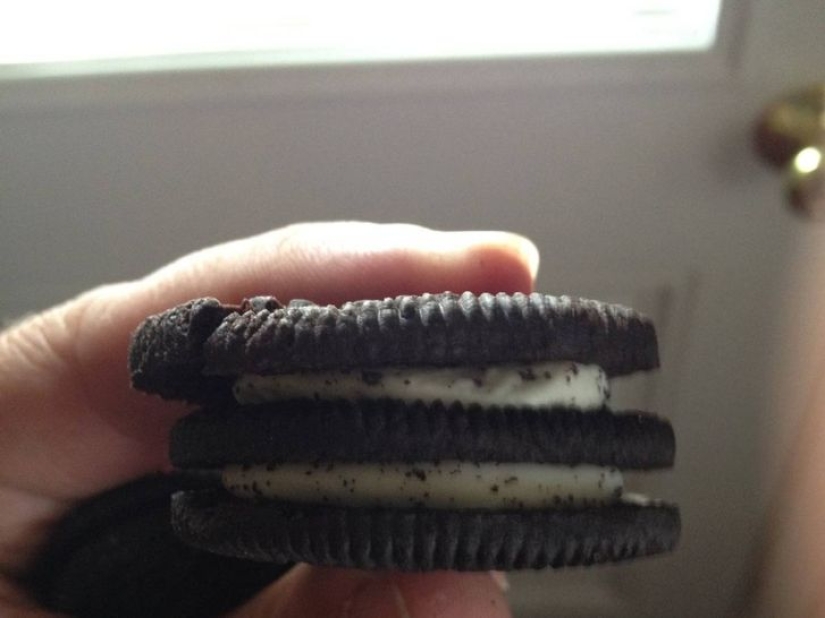 16 examples of people having the best day of their lives 16 examples of people having the best day of their lives