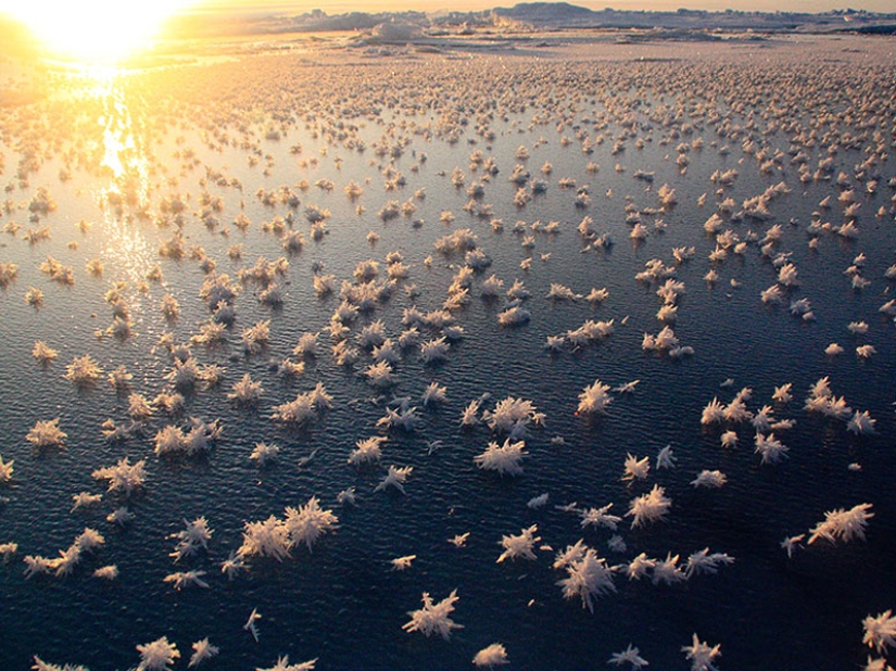 16 Frozen Ponds That Look Like Fine Art 16 Frozen Ponds That Look Like Fine Art