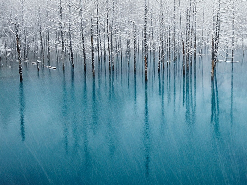 16 Frozen Ponds That Look Like Fine Art 16 Frozen Ponds That Look Like Fine Art