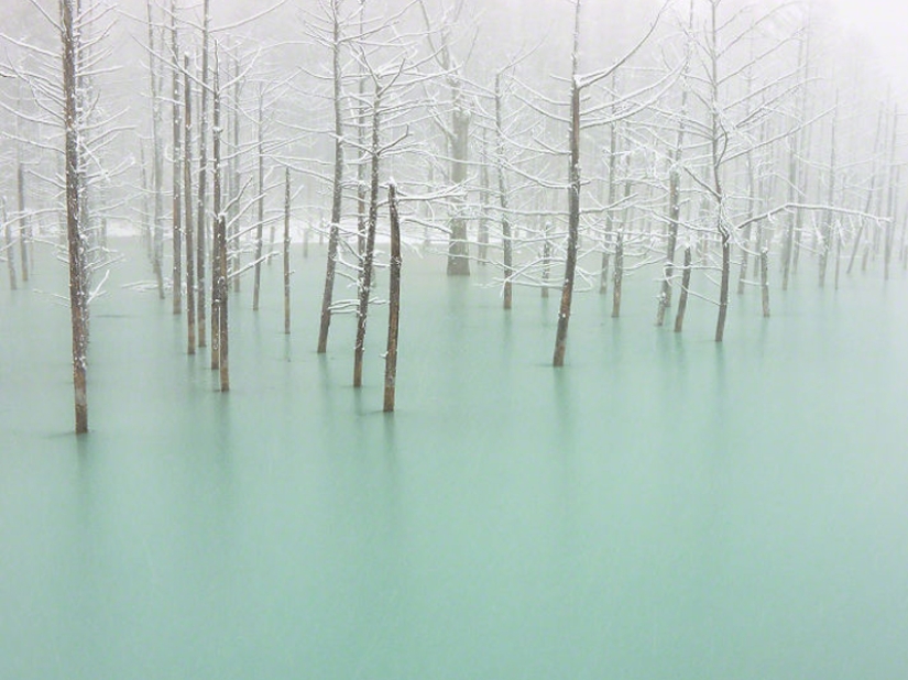 16 Frozen Ponds That Look Like Fine Art 16 Frozen Ponds That Look Like Fine Art