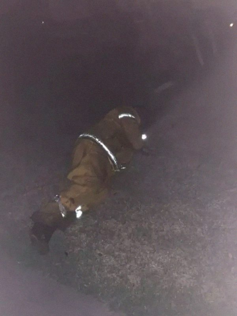 16 shocking photos of what's happening in Australia 16 shocking photos of what's happening in Australia