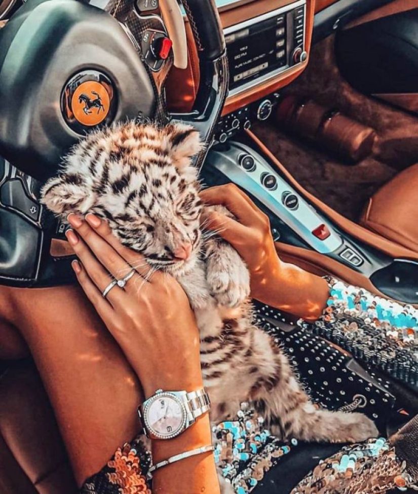 17 Niños ricos de Instagram y sus locuras