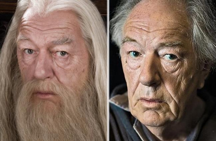 17 years later: what the actors of "Harry Potter" are doing now