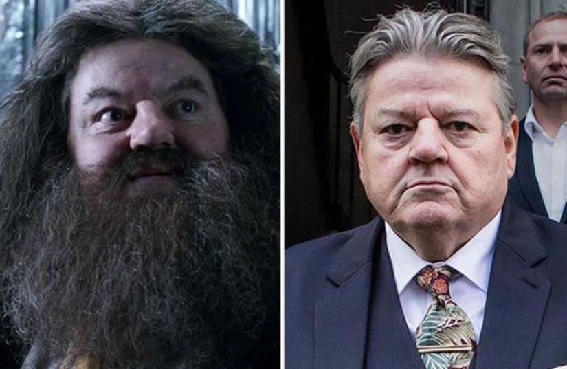 17 years later: what the actors of "Harry Potter" are doing now