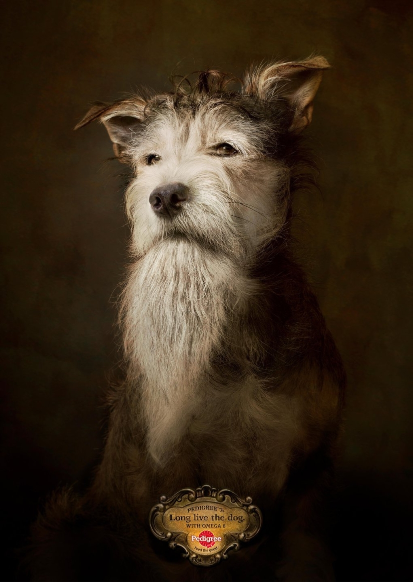 18 advertising campaigns that were recognized as the best in 2017