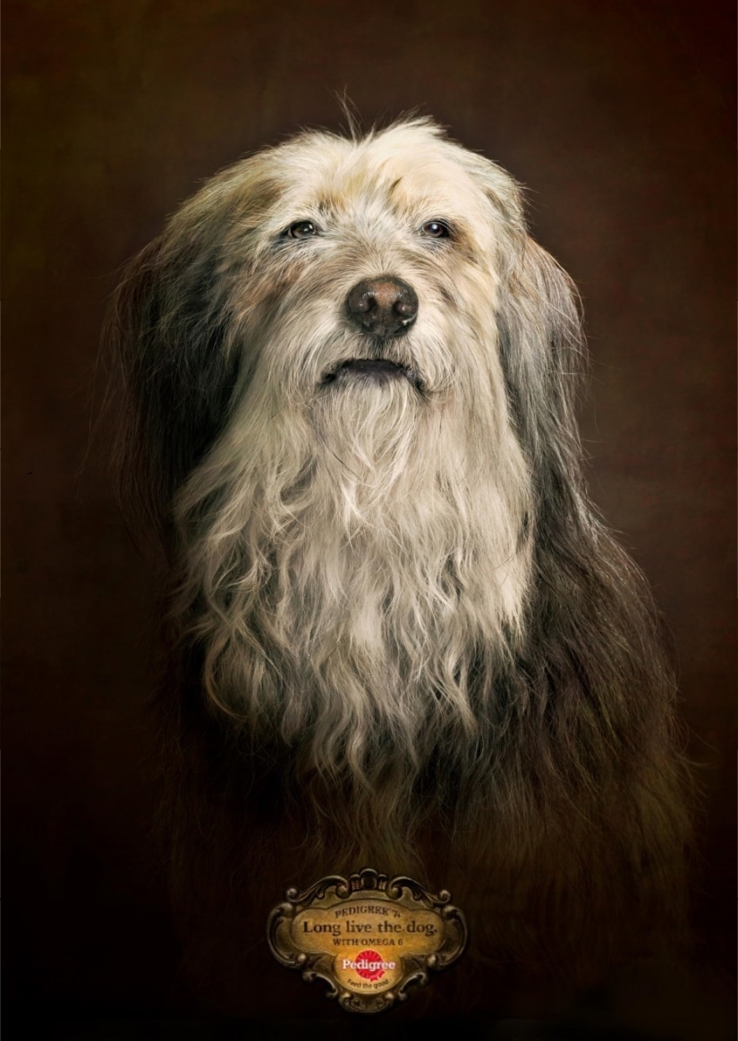 18 advertising campaigns that were recognized as the best in 2017