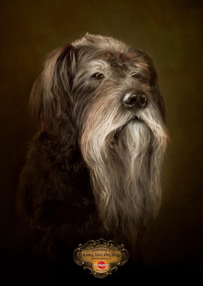 18 campañas publicitarias que fueron reconocidas como las mejores en 2017