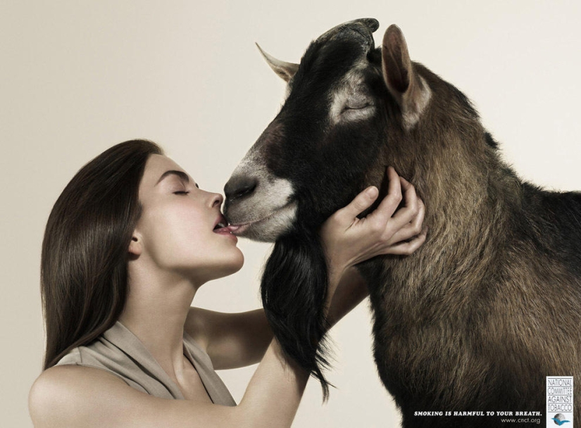 18 obras maestras de la publicidad antitabaco de todo el mundo