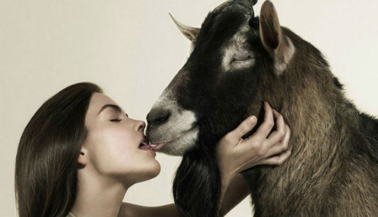 18 obras maestras de la publicidad antitabaco de todo el mundo 18 obras maestras de la publicidad antitabaco de todo el mundo