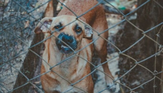 18 señales de que debes ir al hospital de inmediato 18 señales de que debes ir al hospital de inmediato
