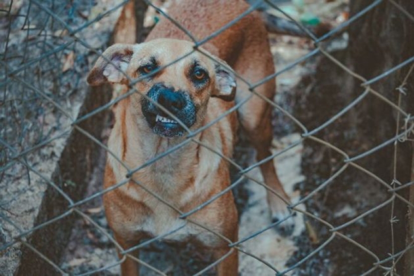 18 Signs You Should Go to the Hospital Immediately