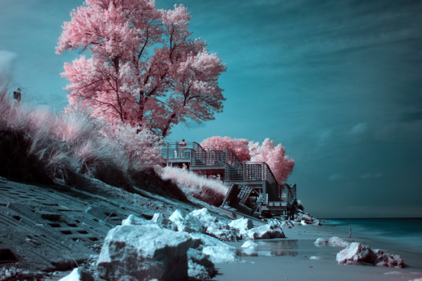 19 insanely perfect shots