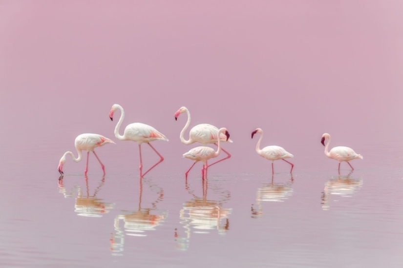 19 insanely perfect shots