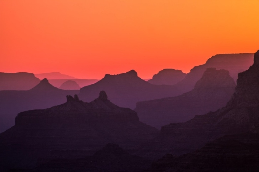 19 insanely perfect shots