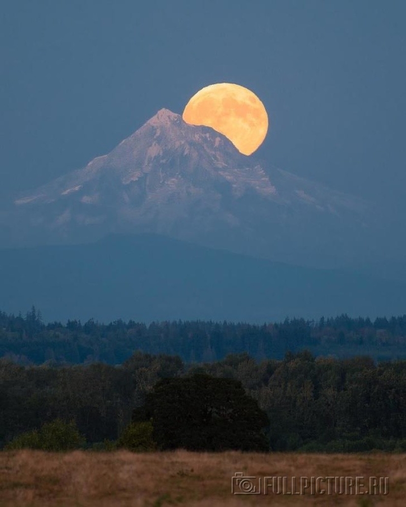 19 insanely perfect shots
