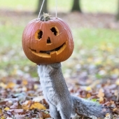 19 insanely perfect shots