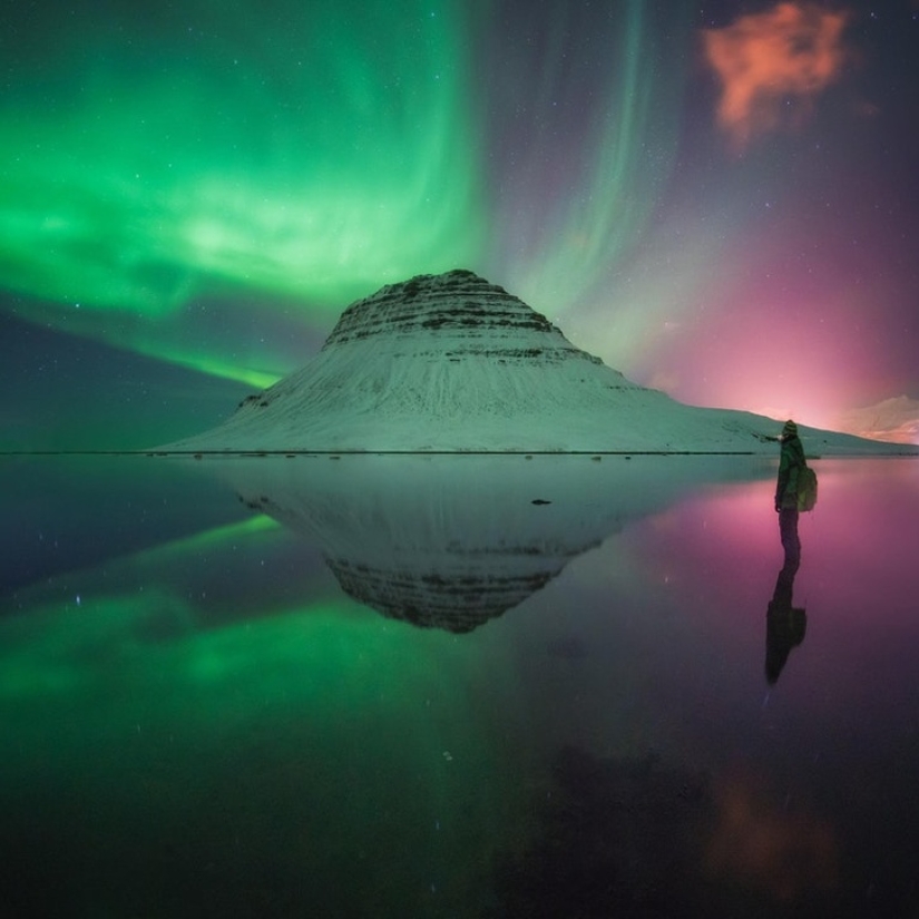 19 insanely perfect shots