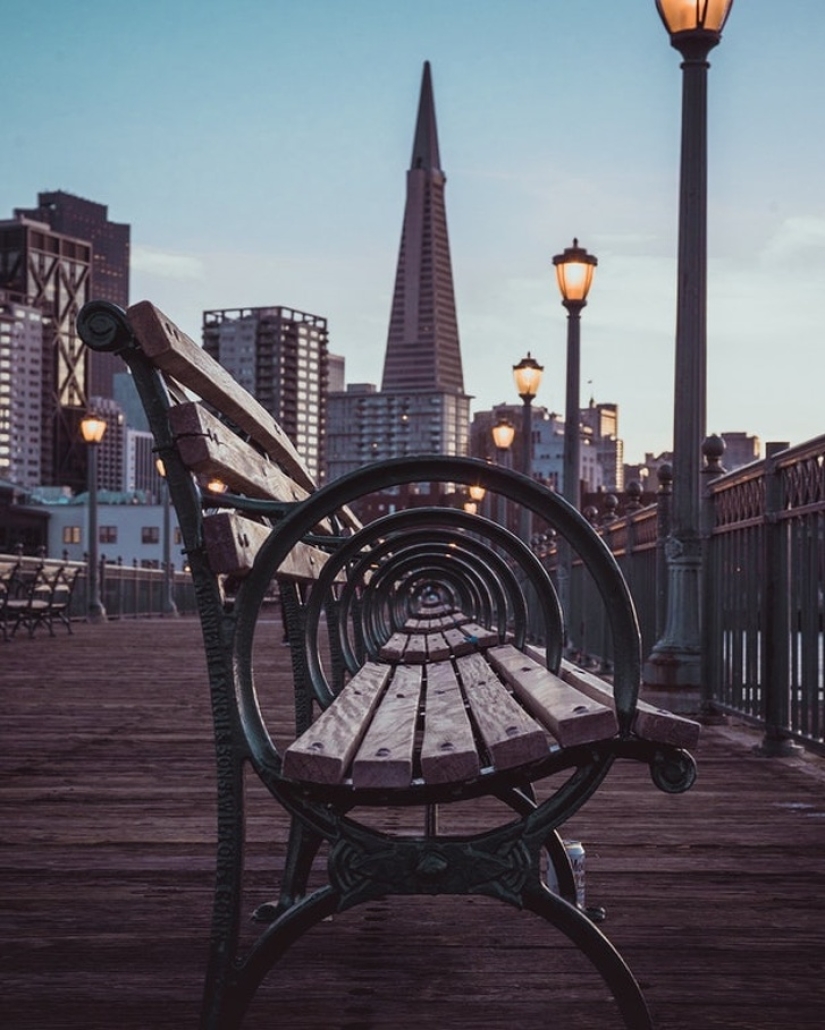 19 insanely perfect shots