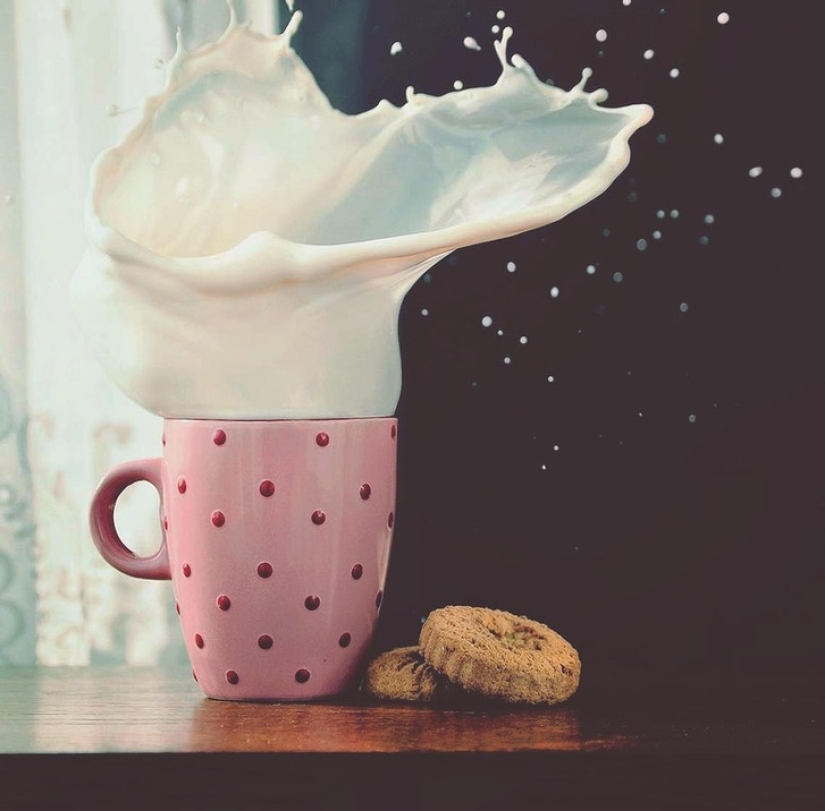 19 insanely perfect shots