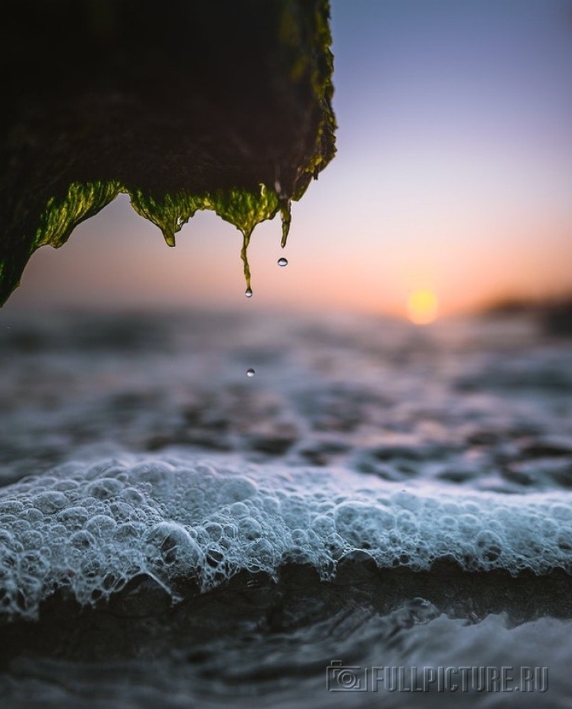 19 insanely perfect shots