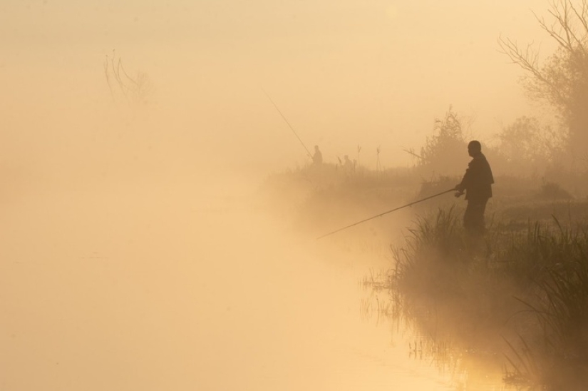 19 insanely perfect shots