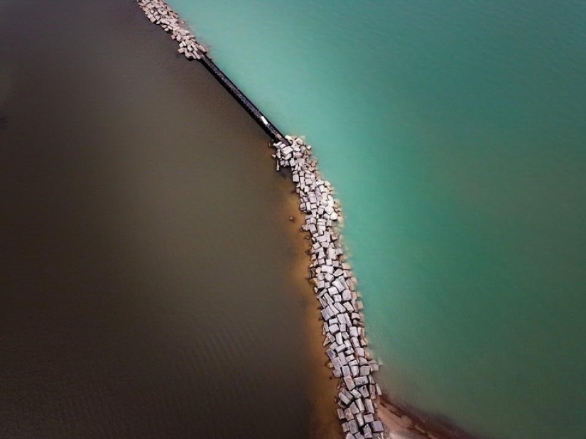19 insanely perfect shots