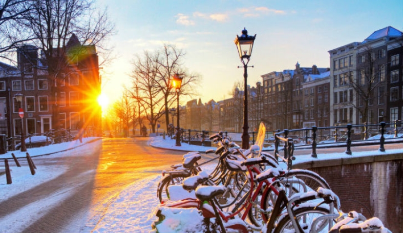 19 reasons to love the Netherlands