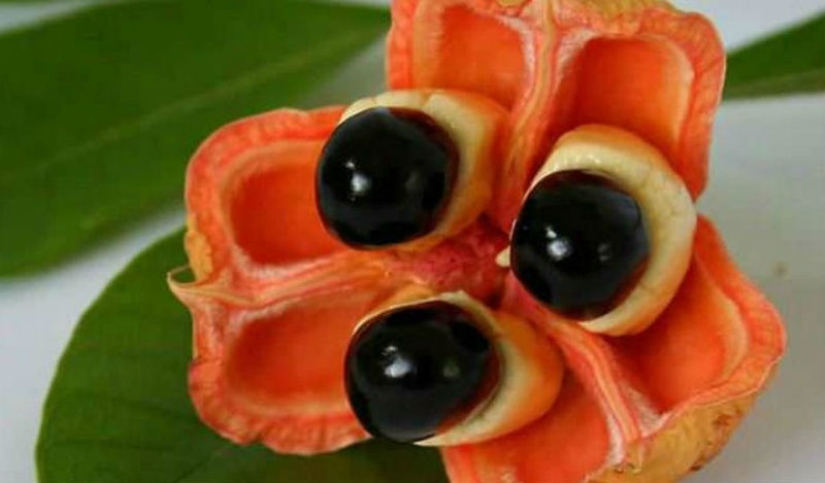 20 exotic fruits from around the world that you haven't heard of 20 exotic fruits from around the world that you haven't heard of