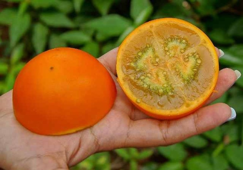 20 exotic fruits from around the world that you haven't heard of 20 exotic fruits from around the world that you haven't heard of