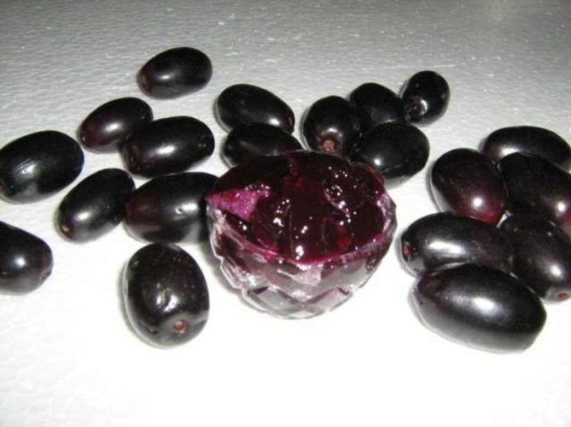 20 exotic fruits from around the world that you haven't heard of 20 exotic fruits from around the world that you haven't heard of