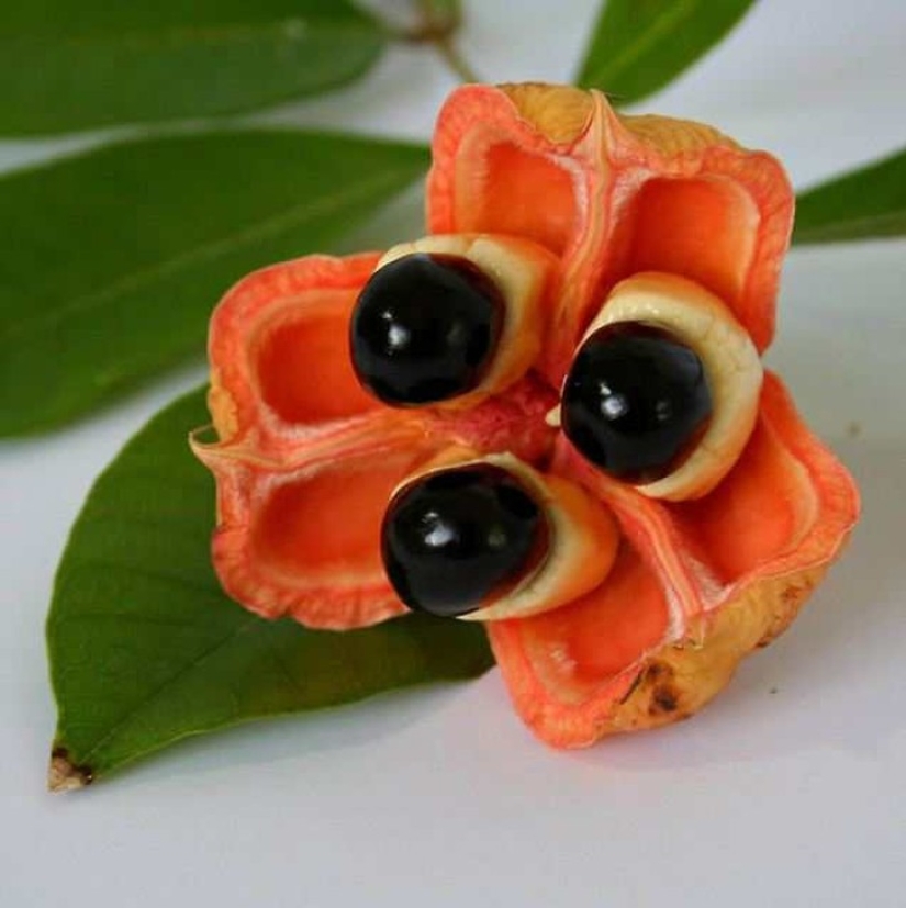 20 exotic fruits from around the world that you haven't heard of 20 exotic fruits from around the world that you haven't heard of