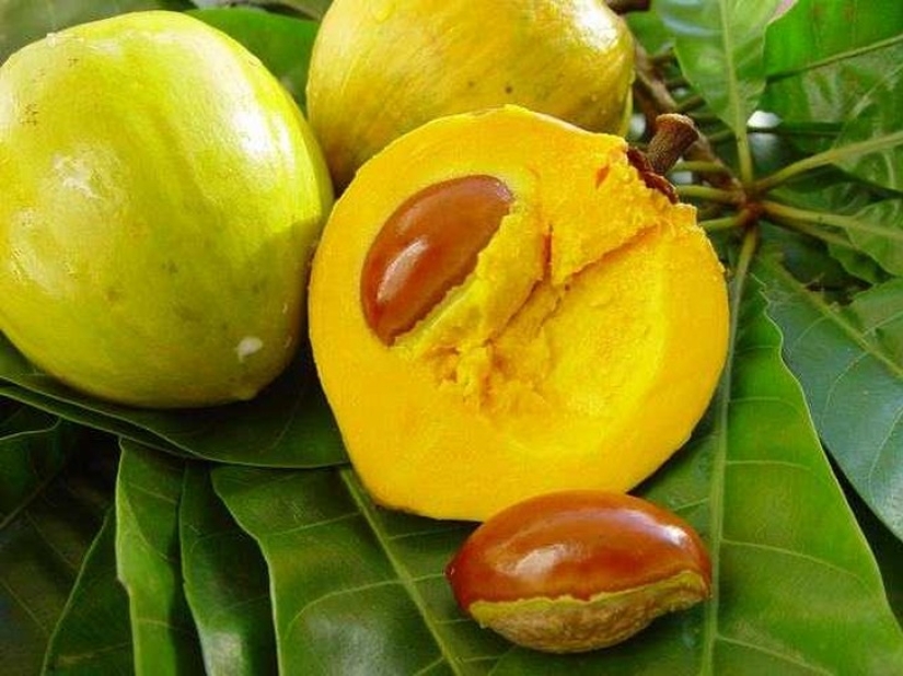 20 exotic fruits from around the world that you haven't heard of 20 exotic fruits from around the world that you haven't heard of