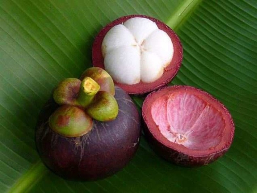 20 exotic fruits from around the world that you haven't heard of 20 exotic fruits from around the world that you haven't heard of