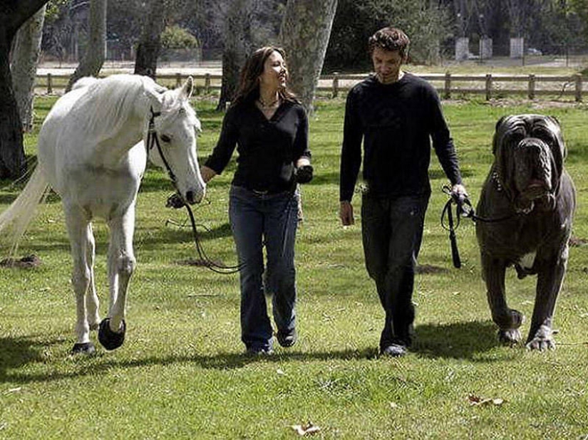 20 falsificaciones de fotos que han volado por todo el mundo 20 falsificaciones de fotos que han volado por todo el mundo