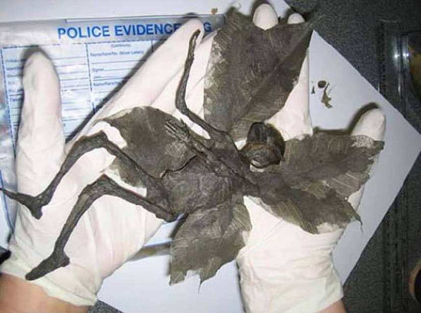 20 falsificaciones de fotos que han volado por todo el mundo 20 falsificaciones de fotos que han volado por todo el mundo