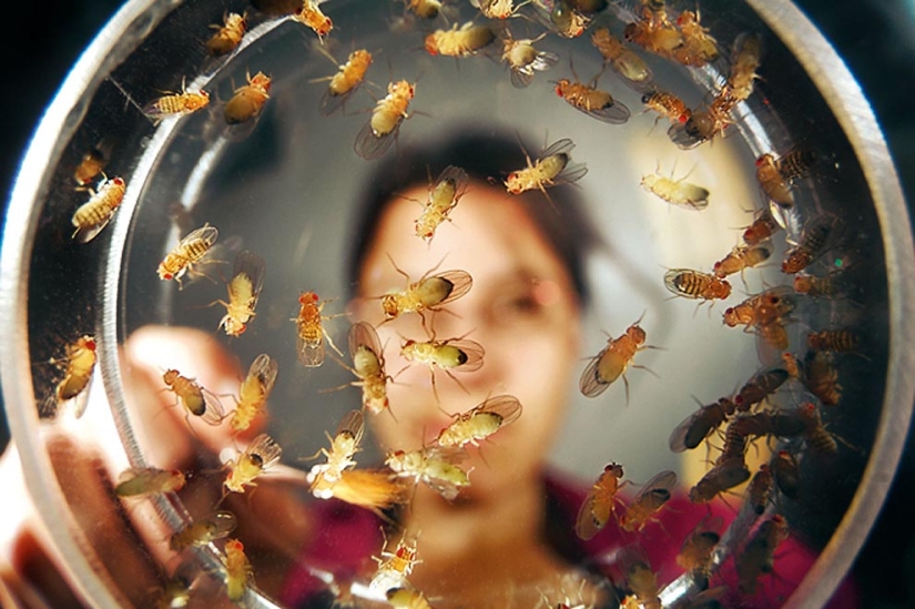 20 formas no estándar de usar vodka 20 formas no estándar de usar vodka