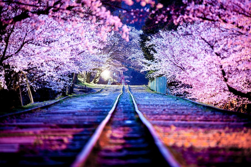 20 fotogramas de fotografía callejera que revelan un lado desconocido de Japón