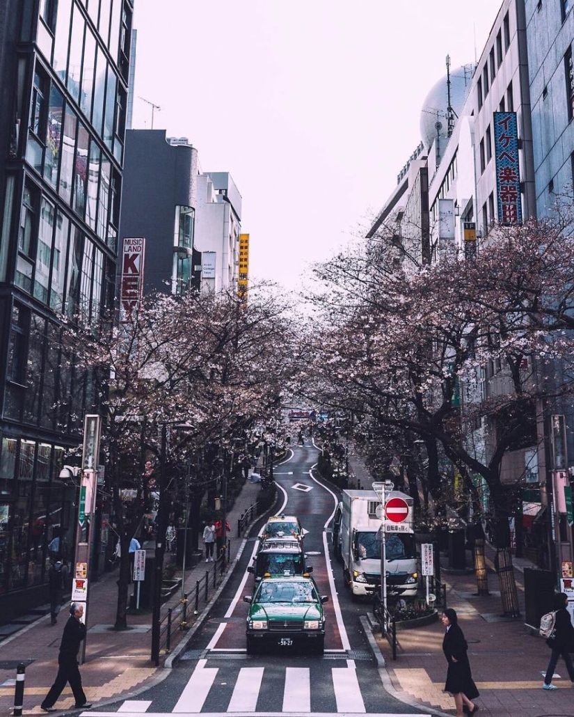 20 fotogramas de fotografía callejera que revelan un lado desconocido de Japón