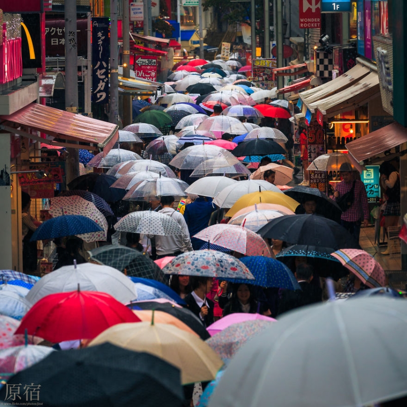 20 fotogramas de fotografía callejera que revelan un lado desconocido de Japón