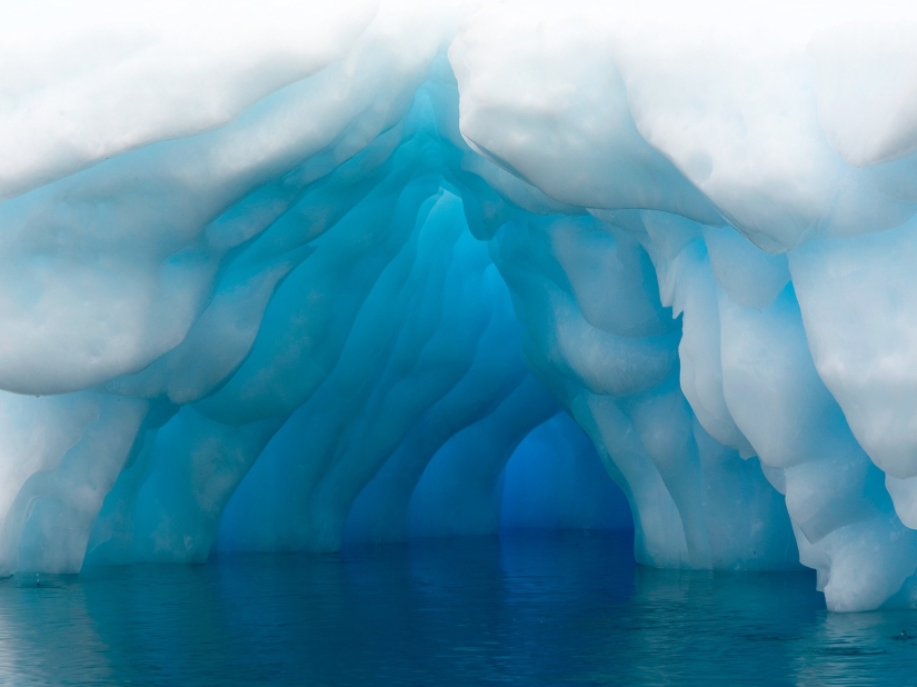 20 fotos que te harán querer visitar la Antártida 20 fotos que te harán querer visitar la Antártida