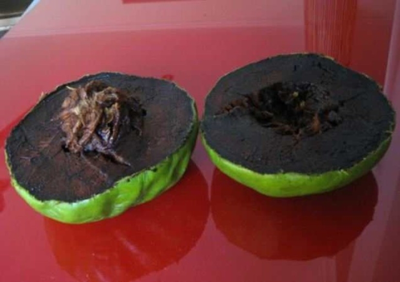 20 frutas exóticas de todo el mundo de las que no has oído hablar 20 frutas exóticas de todo el mundo de las que no has oído hablar
