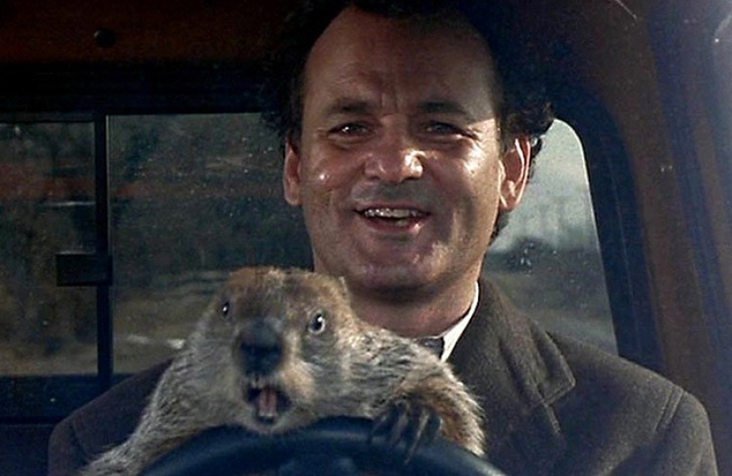 20 good movies that make your soul light up