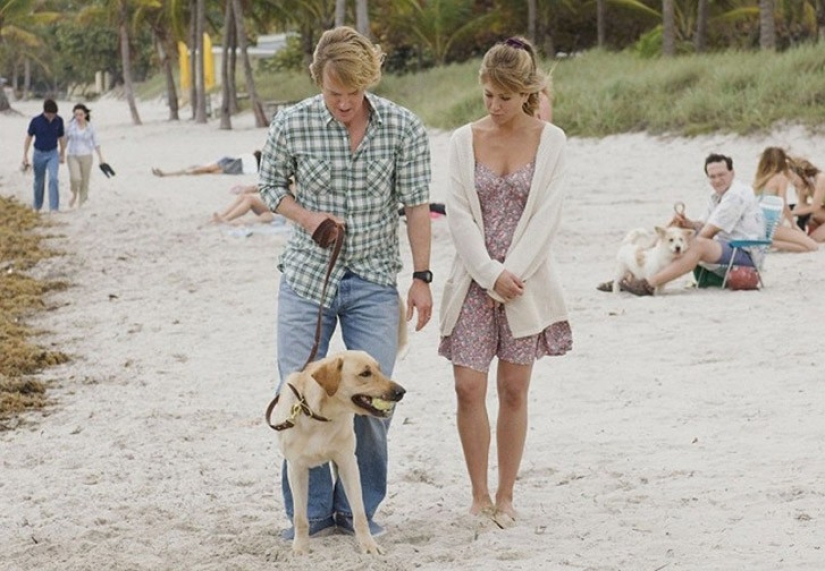 20 good movies that make your soul light up