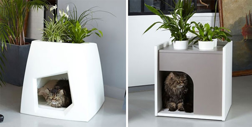 20 ideas de diseño compacto