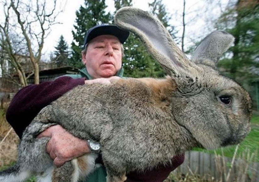 20 images that, no matter how hard it is to believe, are made without photoshop
