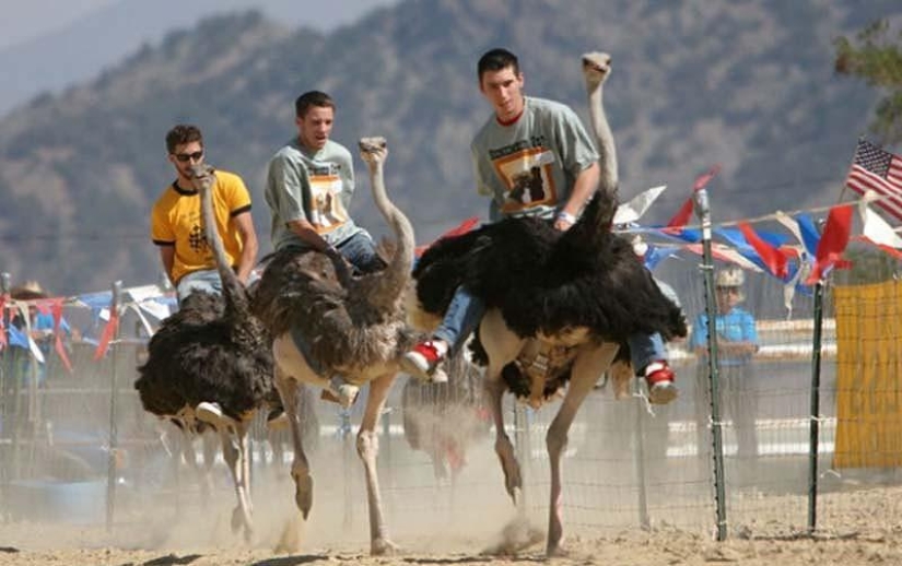 20 images that, no matter how hard it is to believe, are made without photoshop